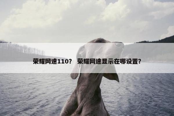 荣耀网速110？ 荣耀网速显示在哪设置？