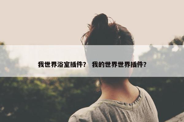我世界浴室插件？ 我的世界世界插件？