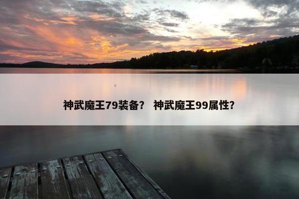 神武魔王79装备？ 神武魔王99属性？