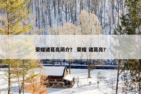 荣耀诸葛亮简介？ 荣耀 诸葛亮？