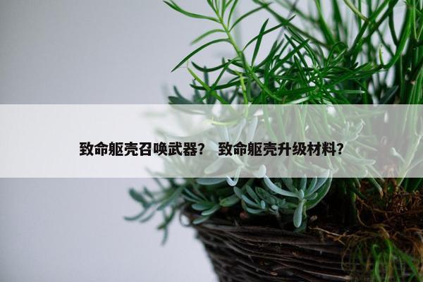 致命躯壳召唤武器？ 致命躯壳升级材料？