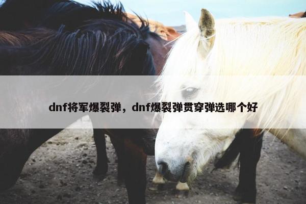 dnf将军爆裂弹，dnf爆裂弹贯穿弹选哪个好