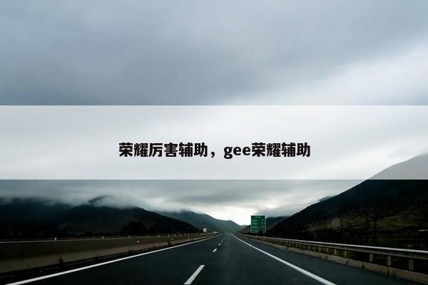 荣耀厉害辅助，gee荣耀辅助