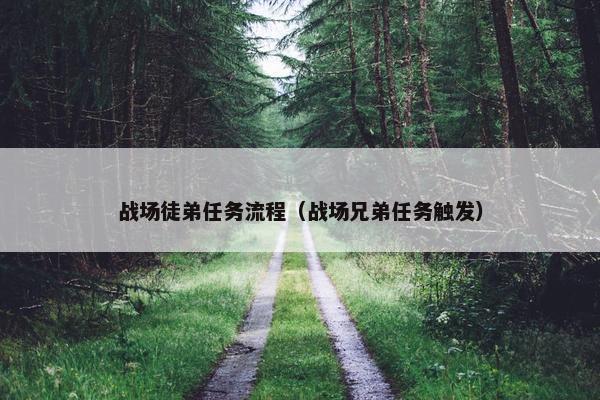 战场徒弟任务流程（战场兄弟任务触发）