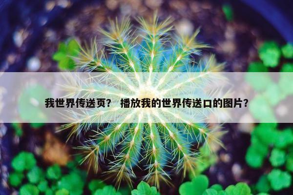 我世界传送页？ 播放我的世界传送口的图片？