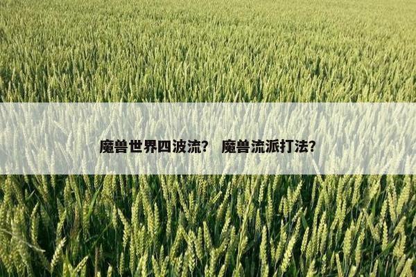 魔兽世界四波流？ 魔兽流派打法？