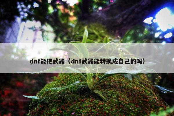 dnf能把武器（dnf武器能转换成自己的吗）