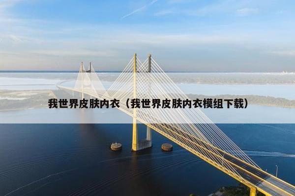 我世界皮肤内衣（我世界皮肤内衣模组下载）