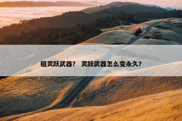 租灵跃武器？ 灵跃武器怎么变永久？