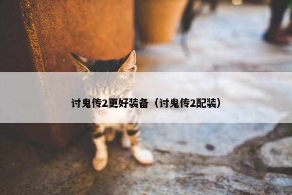 讨鬼传2更好装备（讨鬼传2配装）