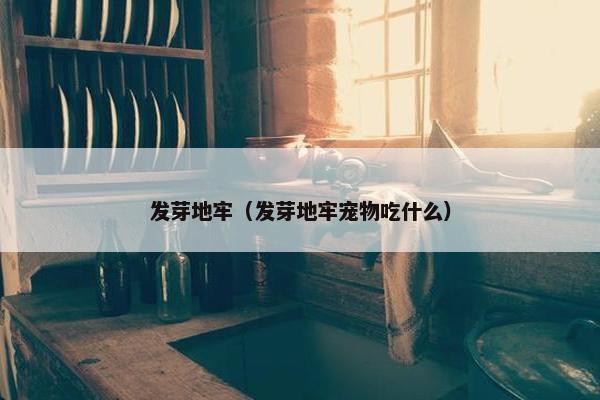 发芽地牢（发芽地牢宠物吃什么）