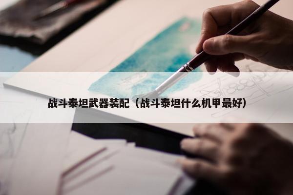 战斗泰坦武器装配（战斗泰坦什么机甲最好）