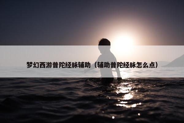 梦幻西游普陀经脉辅助（辅助普陀经脉怎么点）