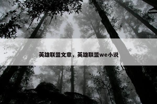 英雄联盟文章，英雄联盟we小说