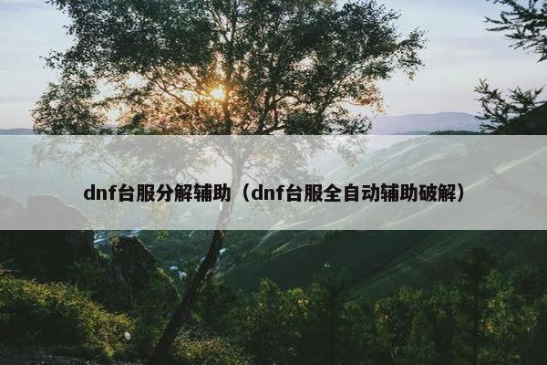 dnf台服分解辅助（dnf台服全自动辅助破解）