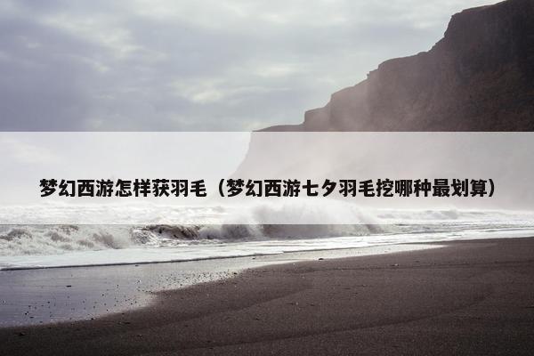 梦幻西游怎样获羽毛（梦幻西游七夕羽毛挖哪种最划算）