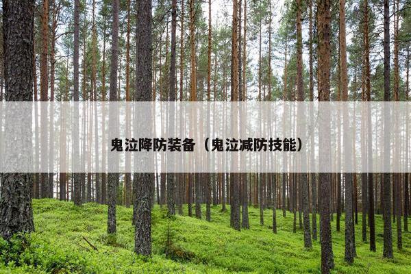 鬼泣降防装备（鬼泣减防技能）
