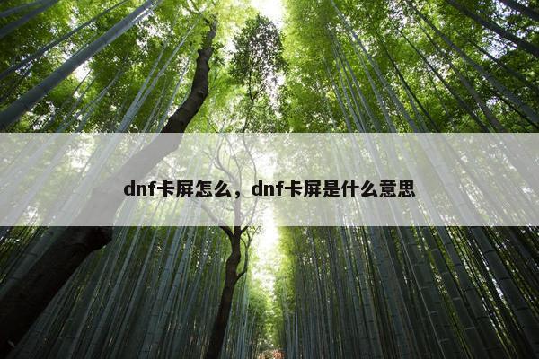 dnf卡屏怎么，dnf卡屏是什么意思