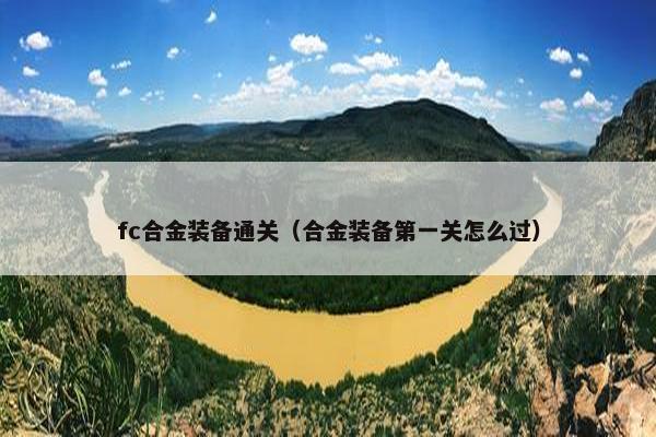 fc合金装备通关（合金装备第一关怎么过）