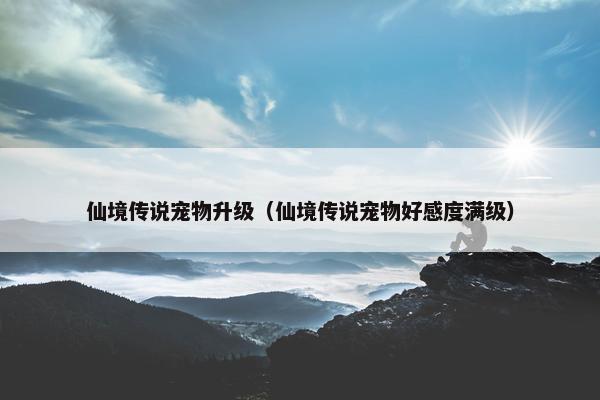 仙境传说宠物升级（仙境传说宠物好感度满级）
