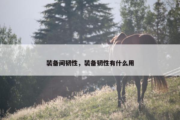 装备间韧性，装备韧性有什么用
