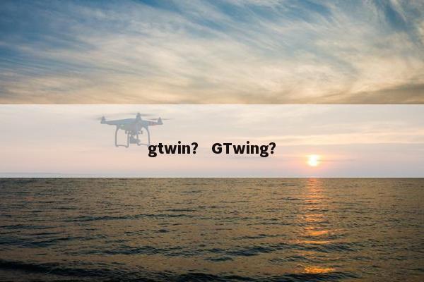 gtwin？ GTwing？