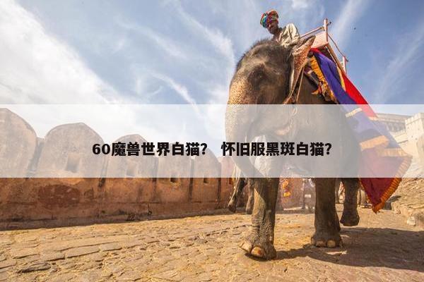 60魔兽世界白猫？ 怀旧服黑斑白猫？