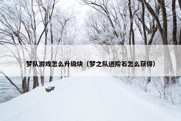 梦队游戏怎么升级块（梦之队进阶石怎么获得）