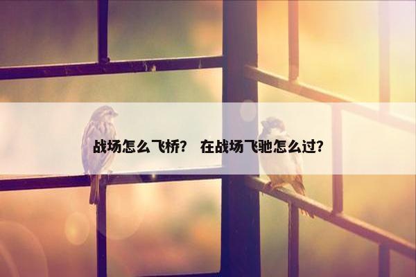 战场怎么飞桥？ 在战场飞驰怎么过？