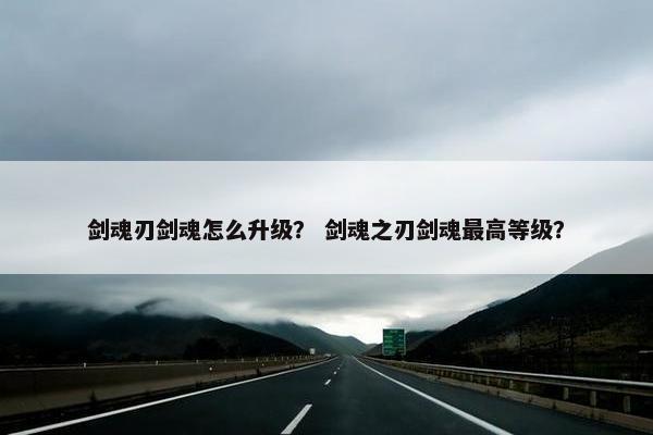 剑魂刃剑魂怎么升级？ 剑魂之刃剑魂最高等级？