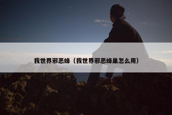 我世界邪恶蜂（我世界邪恶蜂巢怎么用）