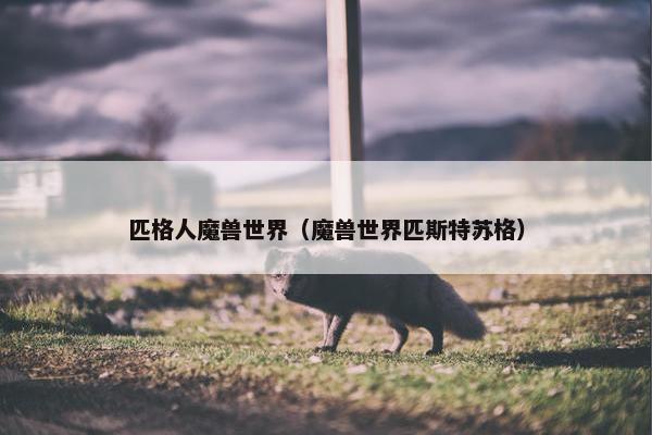 匹格人魔兽世界（魔兽世界匹斯特苏格）