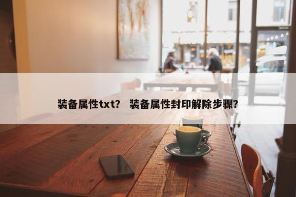 装备属性txt？ 装备属性封印解除步骤？