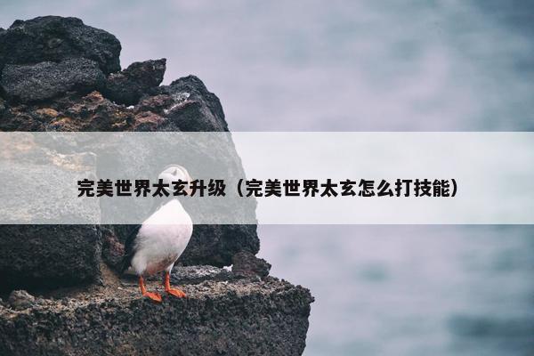 完美世界太玄升级（完美世界太玄怎么打技能）