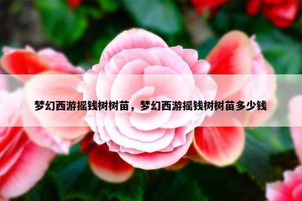 梦幻西游摇钱树树苗，梦幻西游摇钱树树苗多少钱
