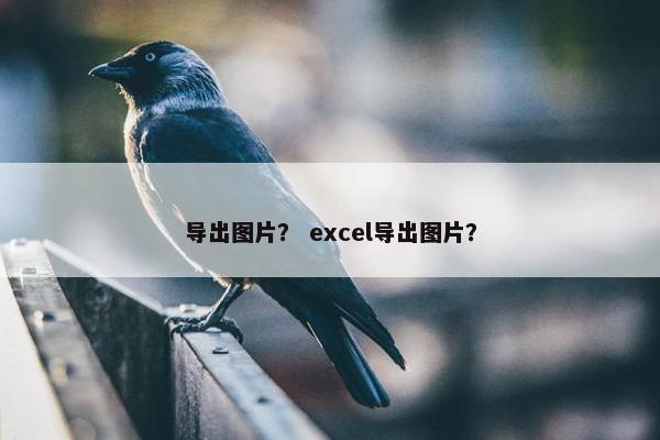 导出图片？ excel导出图片？