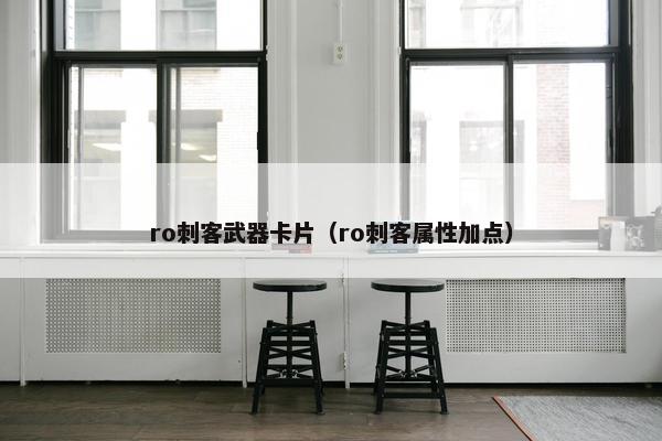 ro刺客武器卡片（ro刺客属性加点）