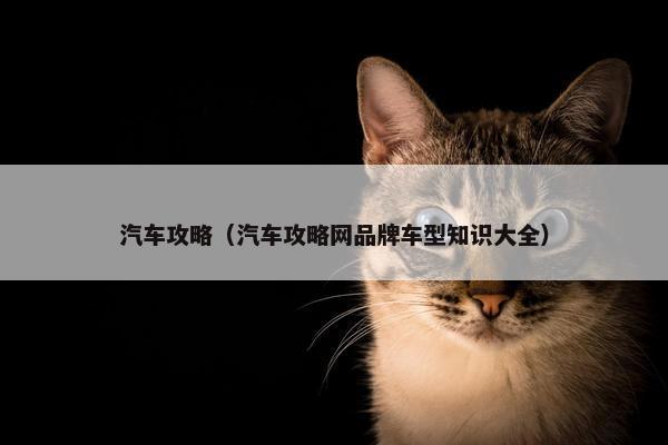 汽车攻略（汽车攻略网品牌车型知识大全）