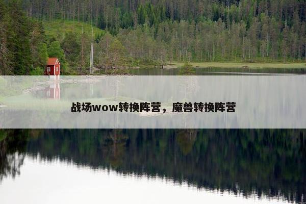 战场wow转换阵营，魔兽转换阵营
