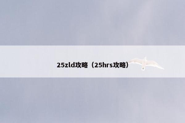 25zld攻略（25hrs攻略）