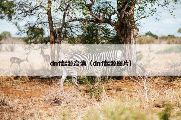 dnf起源高清（dnf起源图片）