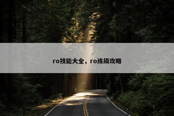 ro技能大全，ro练级攻略