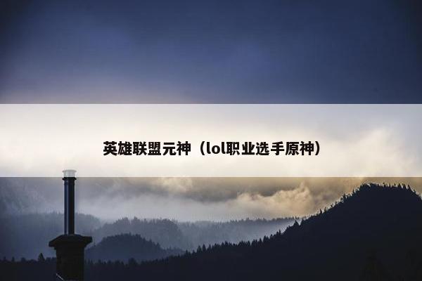 英雄联盟元神（lol职业选手原神）