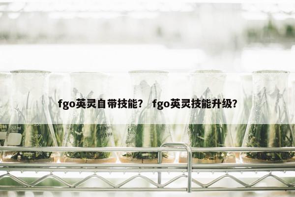 fgo英灵自带技能？ fgo英灵技能升级？