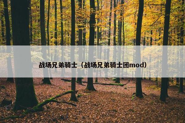 战场兄弟骑士（战场兄弟骑士团mod）