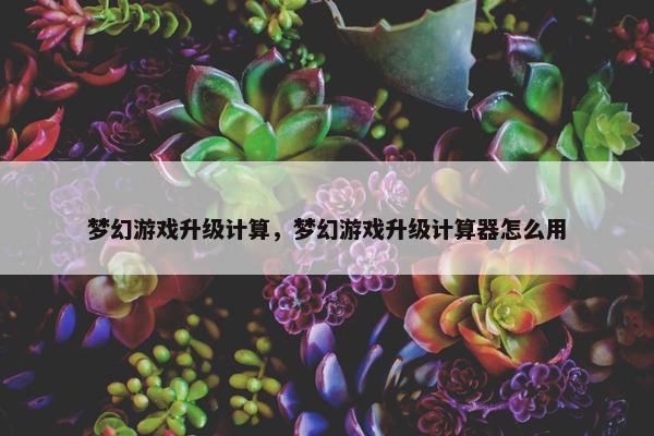 梦幻游戏升级计算，梦幻游戏升级计算器怎么用
