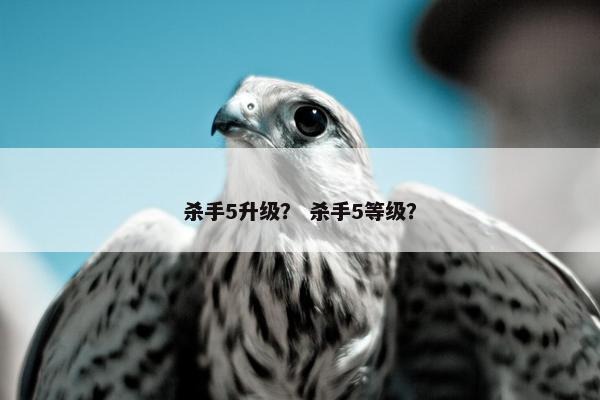 杀手5升级？ 杀手5等级？