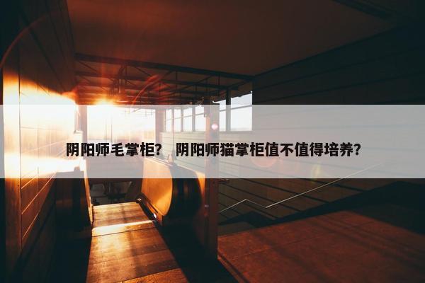 阴阳师毛掌柜？ 阴阳师猫掌柜值不值得培养？