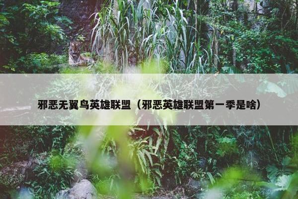 邪恶无翼鸟英雄联盟（邪恶英雄联盟第一季是啥）