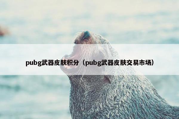 pubg武器皮肤积分（pubg武器皮肤交易市场）